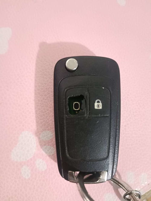 汽车钥匙有多少品种